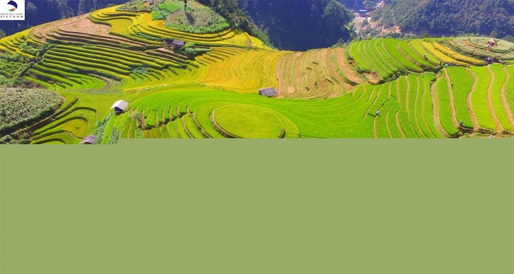 NORTHERN HIGHLAND RICE TERRACES IN VIETNAM AMONG WORLD’S MOST COLORFUL PLACES